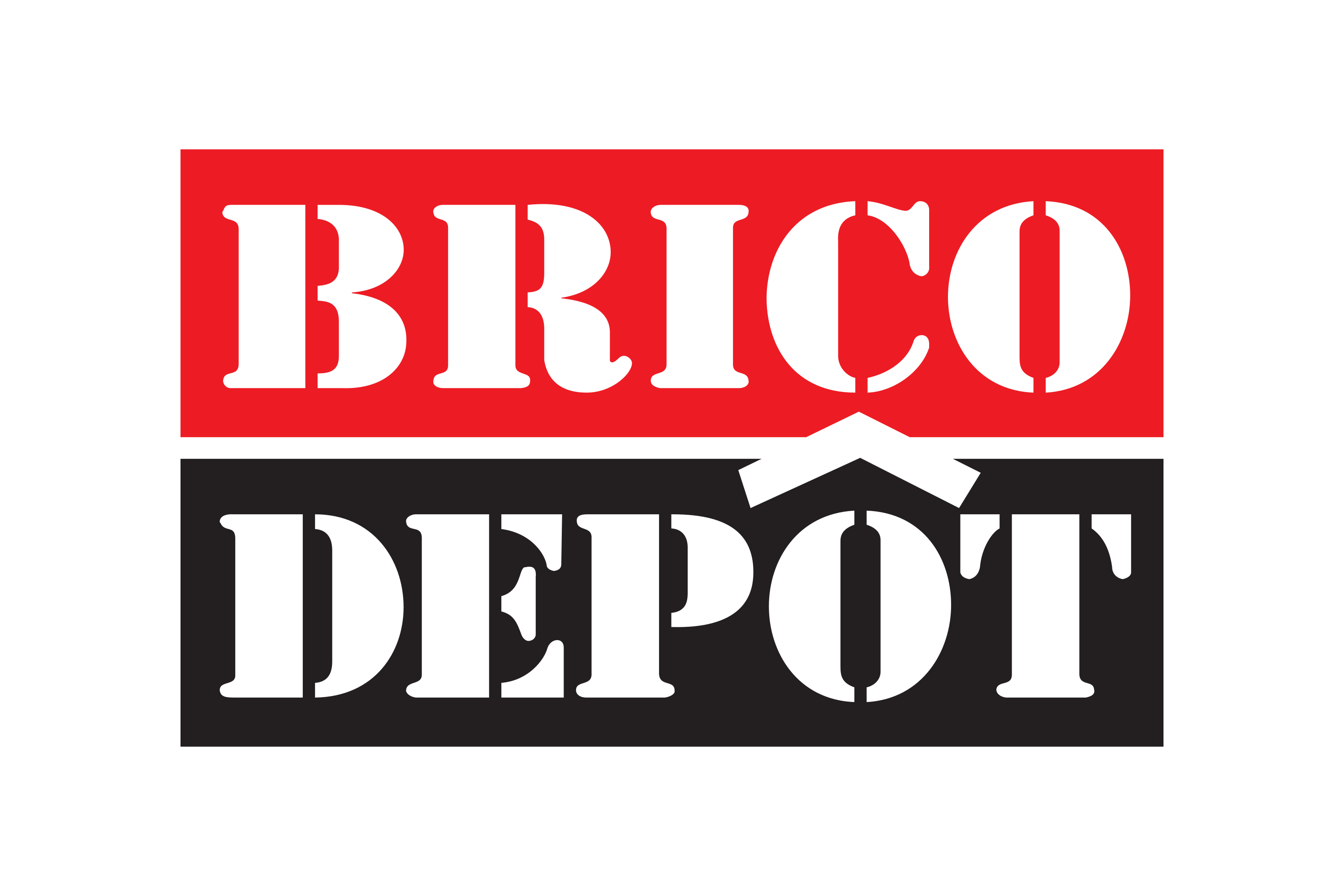 Brico_Dépôt-Logo.wine